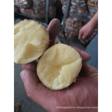Best Quality Fresh Potato Wholesale Supplier